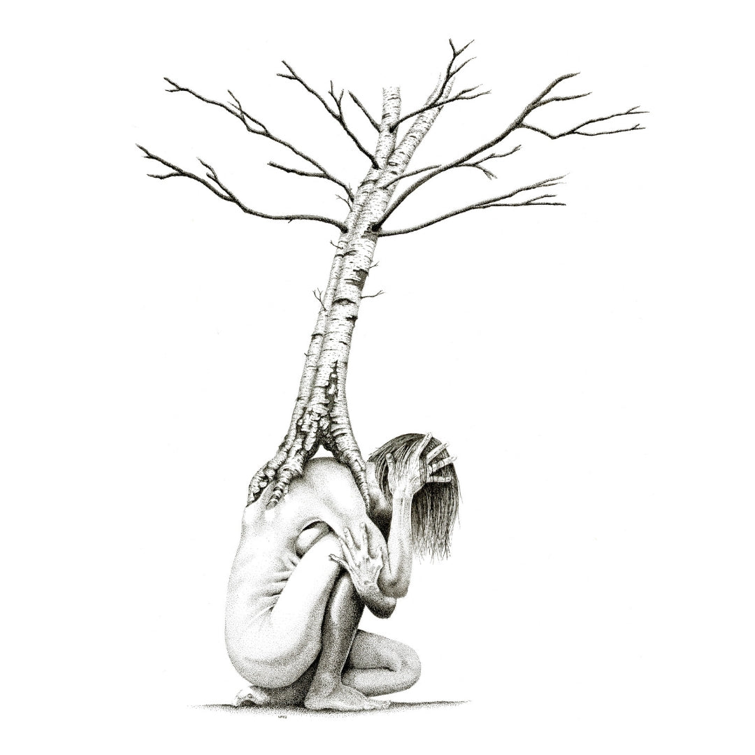 Silver Birch (Limited Edition)