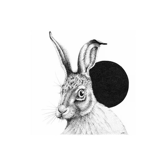 Moon Hare