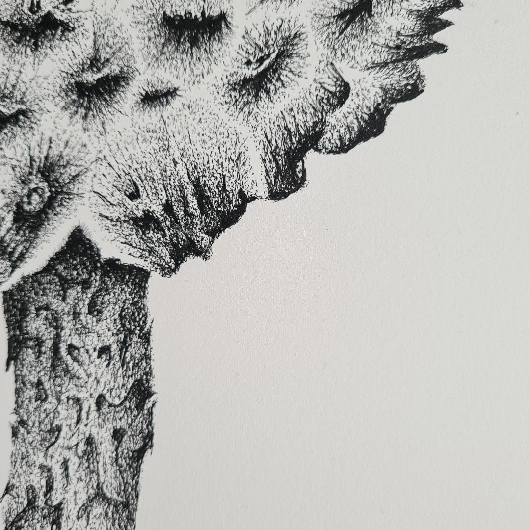 Old Man of the Woods - original