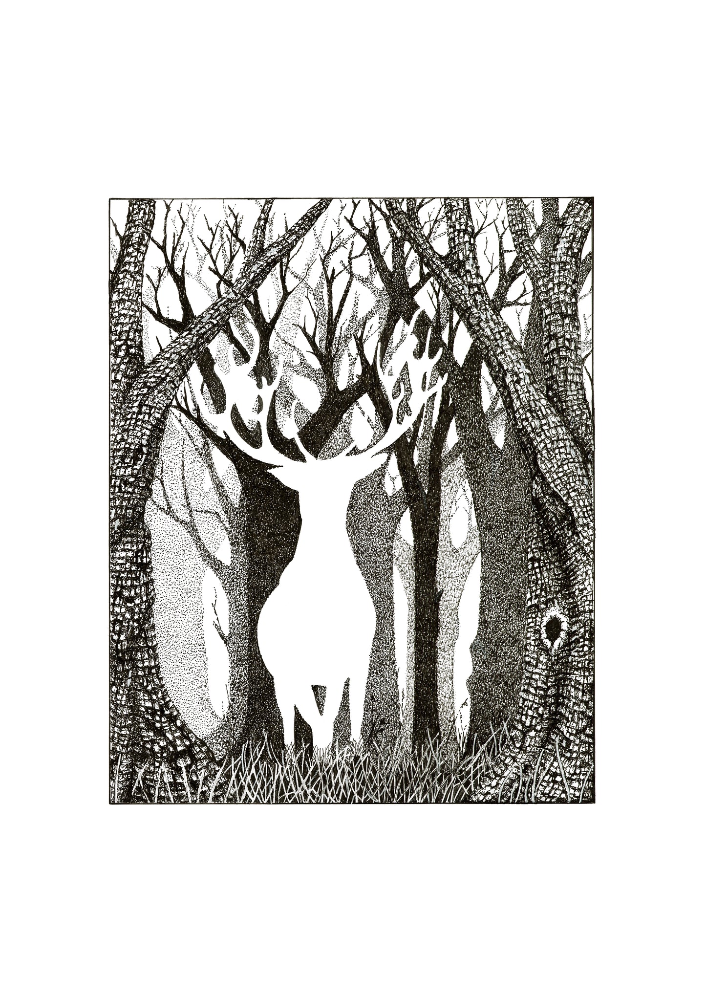 White stag