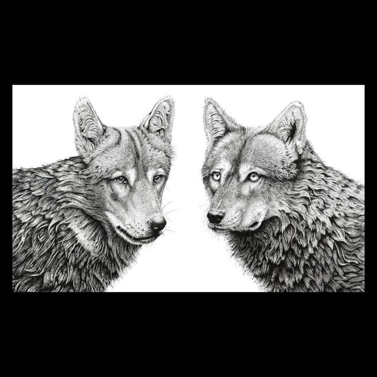 My love, it is a wolf