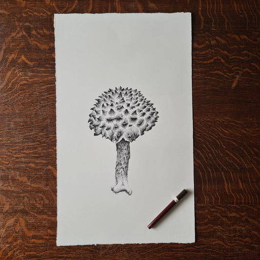 Old Man of the Woods - original