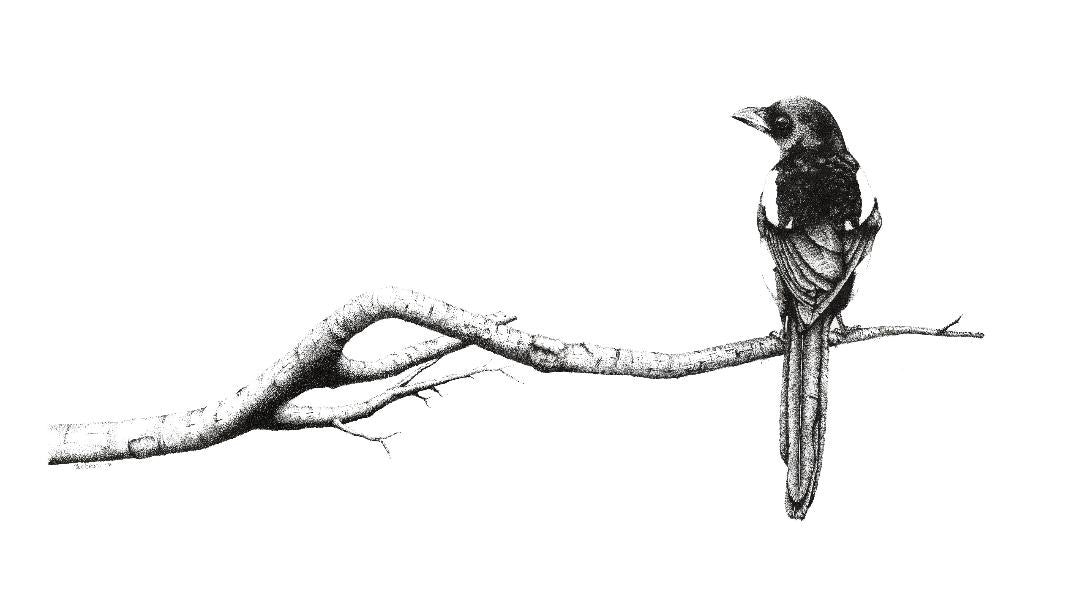 One For (limited Edition Print)