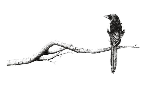 One For (limited Edition Print)