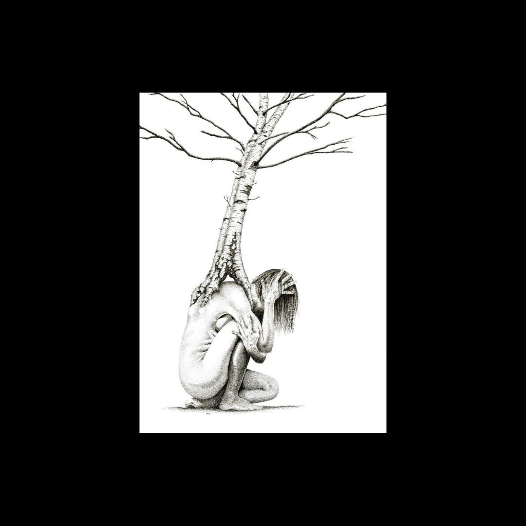 Silver Birch (Limited Edition)