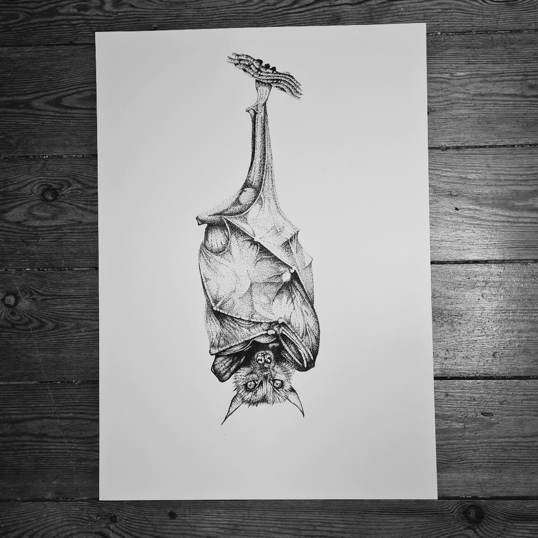 Fruit Bat (Original)