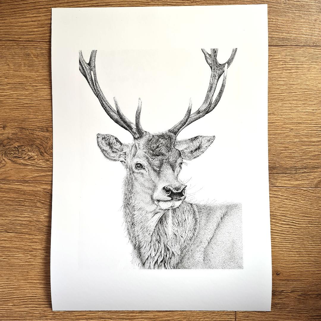 Stag print