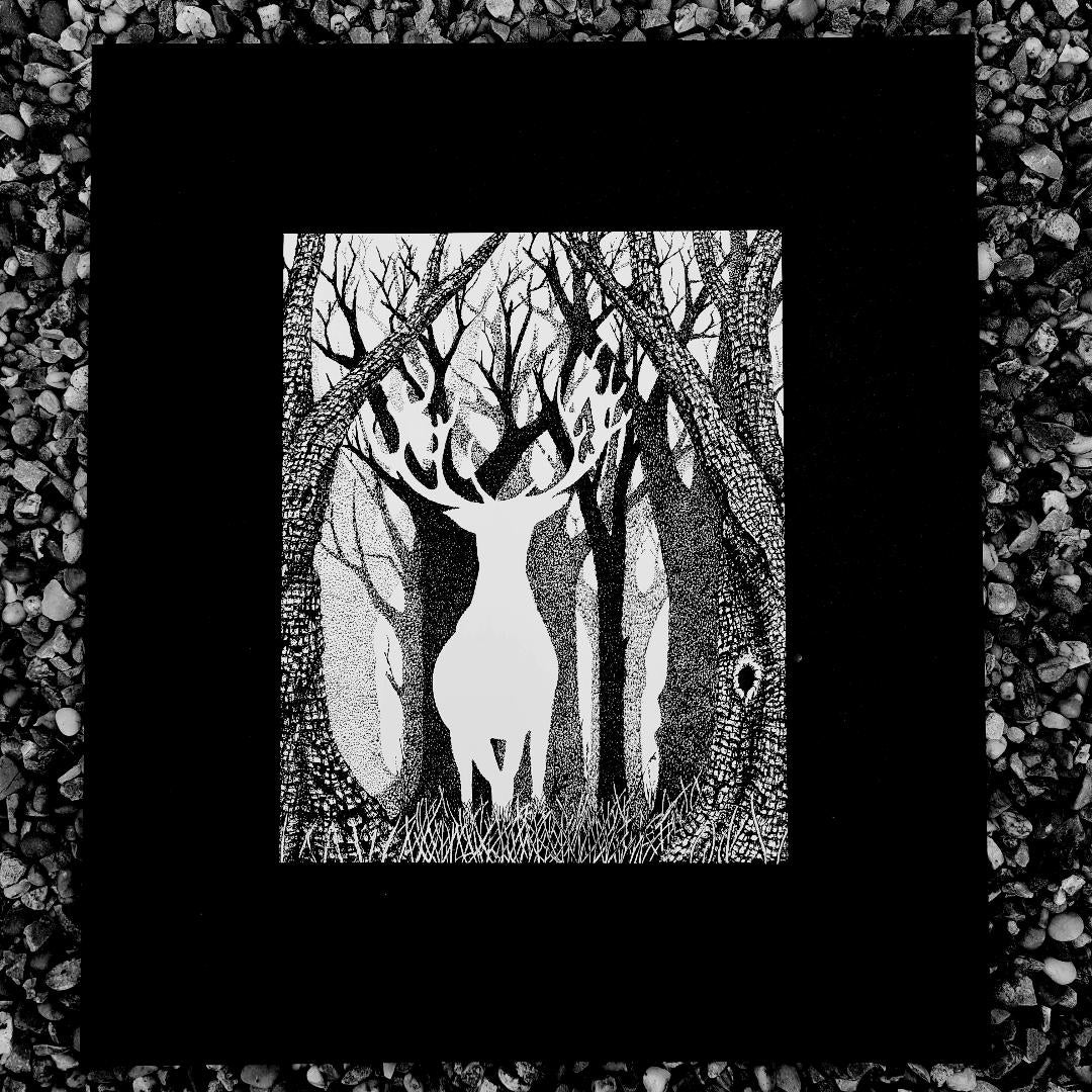 White Stag Print