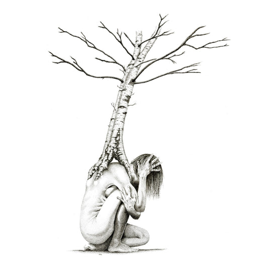 Silver Birch (Limited Edition)