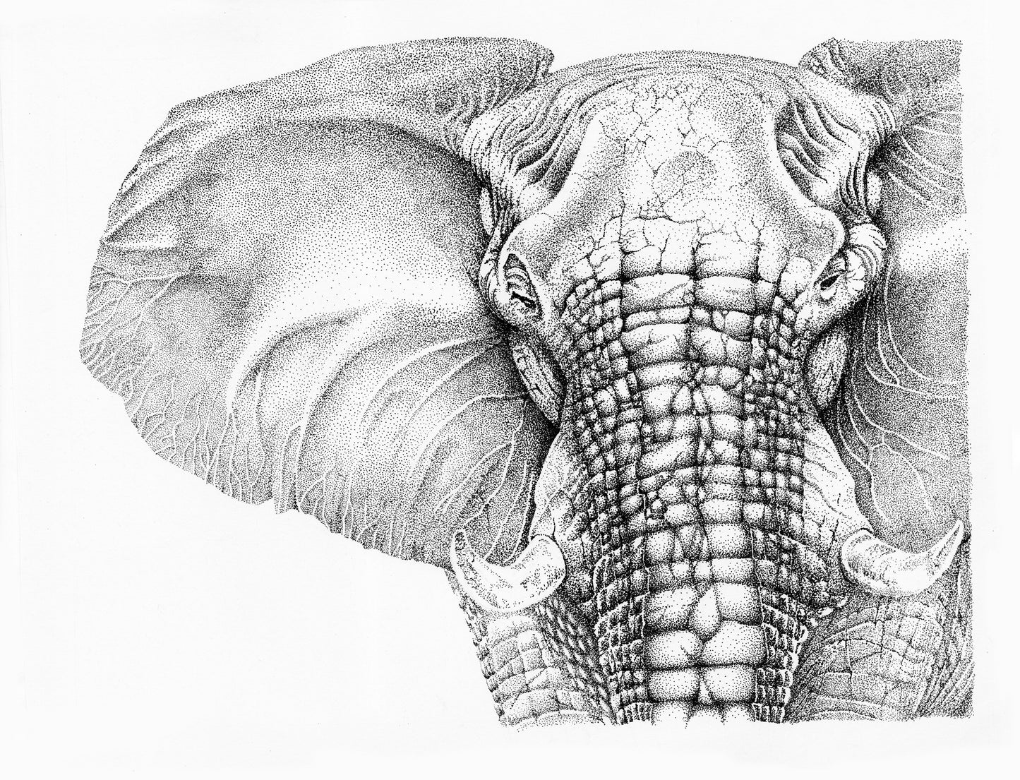 Elephant (Original)