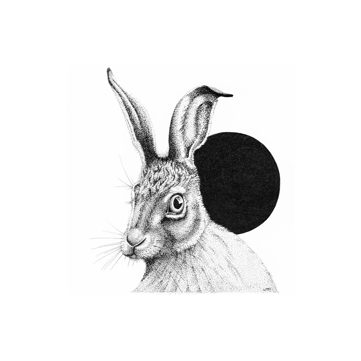 Moon Hare