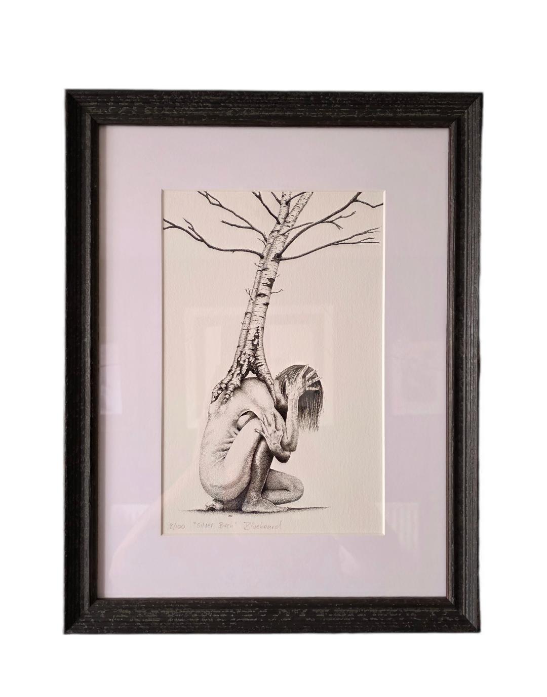 Silver Birch (Limited Edition)