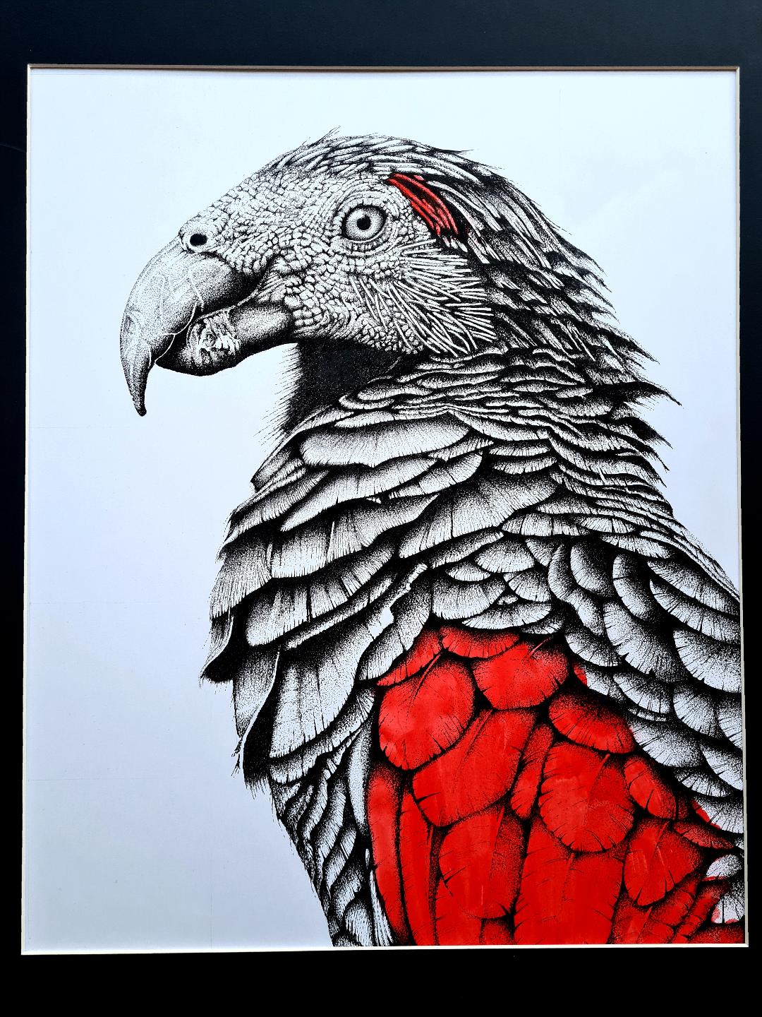Dracula Parrot print