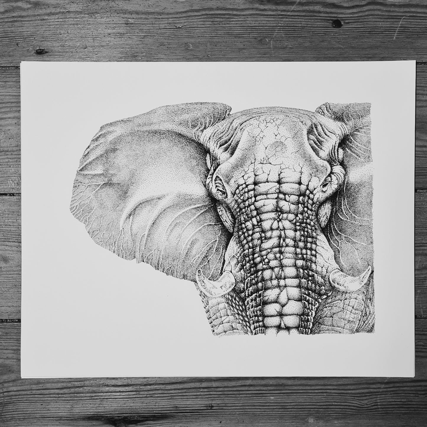 Elephant (Original)