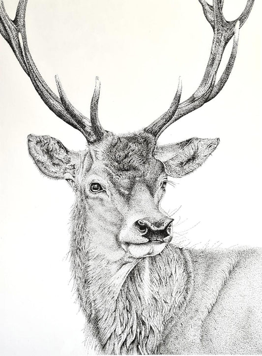 Stag print